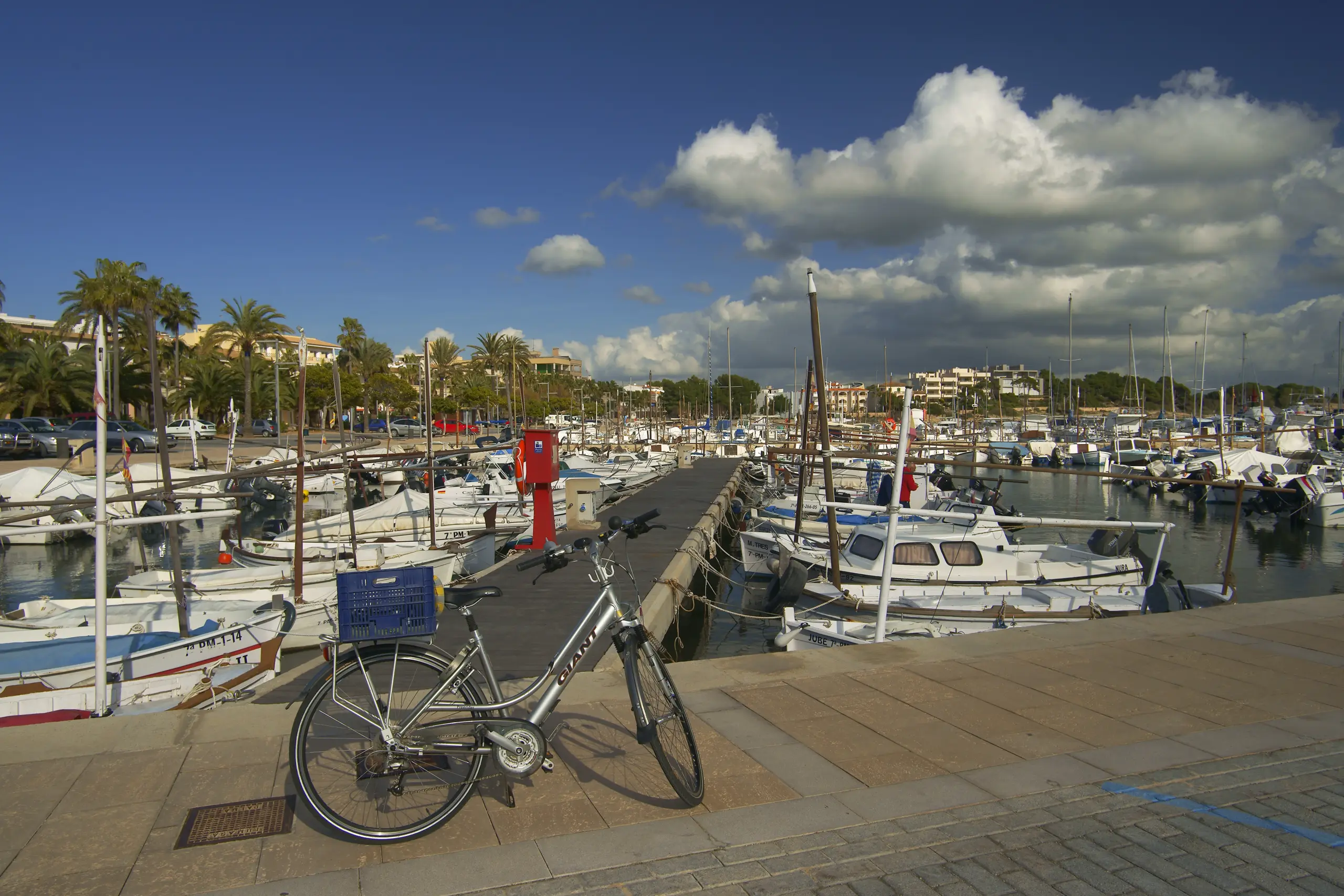 Port de la Colonia de Sant Jordi   scaled